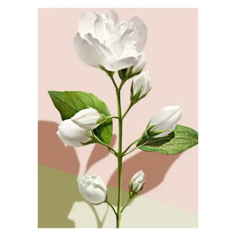 Gel de douche madara infusion blanc 300 ml_4873. DIAYTAR SENEGAL - L'Art du Shopping Sublime. Naviguez à travers notre catalogue et choisissez parmi des produits qui ajoutent une touche raffinée à votre vie quotidienne.