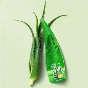 Gel aloe vera pur_5654. DIAYTAR SENEGAL - Où Choisir Devient une Découverte. Explorez notre boutique en ligne et trouvez des articles qui vous surprennent et vous ravissent à chaque clic.