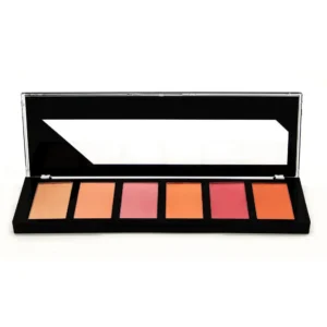 Palette Magic Studio Blush Shine. Boutique de cosmétiques au Sénégal