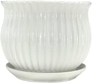 Grand pot en céramique blanche design moderne pour plantes d'intérieur parfait pour la décoration. Parcourez DIAYTAR SENEGAL, votre plateforme en ligne incontournable pour l'achat de produits discount. Que vous recherchiez des articles pour votre maison, des outils électroniques ou des accessoires de mode, nous avons tout ce qu'il vous faut à des prix incroyables, sans compromettre la qualité.