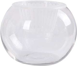 Bol à poisson bulles en verre transparent support pour plantes. Faites un bond dans le monde des bonnes affaires avec DIAYTAR SENEGAL  ! Découvrez notre boutique en ligne généraliste où vous trouverez tout ce dont vous avez besoin, de la maison à l'électroménager, de l'informatique à la mode, et même les derniers gadgets. Ne sacrifiez pas votre budget pour vous faire plaisir, optez pour nos produits discount de qualité.