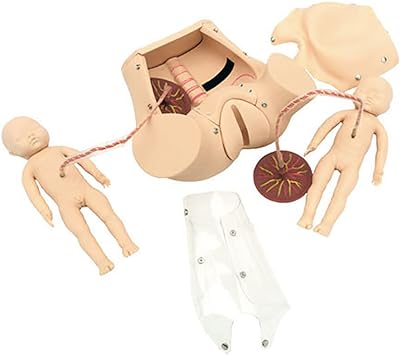 Ensemble de démonstration de travail et de naissance sur modèle humain simulateur d'accouchement. Vous cherchez des produits de qualité à petit prix ? Ne cherchez plus ! DIAYTAR SENEGAL  est votre destination en ligne pour tous vos besoins discount. Explorez notre sélection variée, allant de la maison à l'électroménager, de l'informatique à la mode et aux gadgets, et découvrez des offres exceptionnelles qui correspondent à votre budget. Faites des économies sans compromettre la qualité avec DIAYTAR SENEGAL .