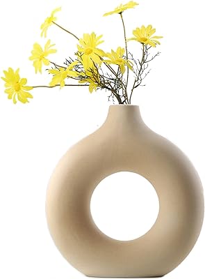 Vase rond moderne en céramique de style nordique rond mat creux bohème pour la maison. Trouvez tout ce dont vous avez besoin à prix réduit chez DIAYTAR SENEGAL . Notre boutique en ligne propose une large gamme de produits discount, de la décoration pour la maison aux appareils électroménagers, en passant par l'informatique et les dernières tendances de la mode. Explorez notre collection maintenant et profitez pleinement de nos tarifs avantageux !