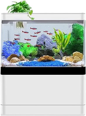 Aquarium de bureau mini betta doré autonettoyant avec lumière led usb. DIAYTAR SENEGAL  vous offre toutes les bonnes affaires sur un seul site. Découvrez notre sélection de produits discount pour la maison, l'électroménager, l'informatique et la mode. Bénéficiez de nos prix imbattables et trouvez les articles de qualité que vous recherchez, sans vous ruiner !