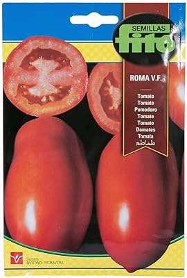Celli's vito tomate roma vf. Vous cherchez des produits discount de qualité ? Ne cherchez plus, DIAYTAR SENEGAL  est là pour vous. Notre boutique en ligne généraliste propose une large gamme d'articles allant de la maison à l'informatique en passant par l'électroménager et la mode. Faites des économies sans compromettre la qualité grâce à notre sélection minutieusement choisie de produits à prix réduits. Profitez des avantages du shopping en ligne avec DIAYTAR SENEGAL .