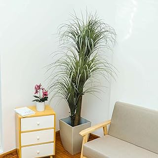 1.7m plante de yucca artificielle arbre artificiel avec pot en plastique. DIAYTAR SENEGAL  - L'adresse incontournable des chasseurs de bonnes affaires en ligne. Découvrez notre large gamme de produits à prix discount, allant des gadgets innovants aux appareils électroménagers dernier cri. Faites des économies sans sacrifier vos envies !