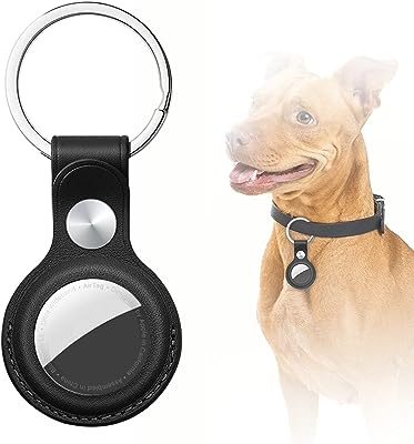 Étui airtag en silicone avec porte-clés housse de protection apple  compatible airtag collier pour chien - DIAYTAR SÉNÉGAL