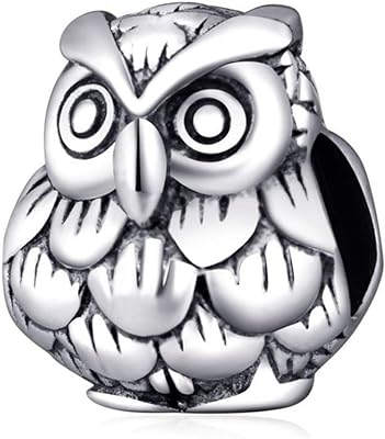 Pendentif hibou oiseau porte bonheur en argent sterling 925 pour bracelet pandora. DIAYTAR SENEGAL, la référence en matière de shopping discount en ligne. Découvrez notre vaste sélection de produits allant de la maison à l'informatique, en passant par l'électroménager et la mode. Avec des prix défiant toute concurrence, vous pourrez satisfaire toutes vos envies sans vous ruiner. Faites des économies tout en achetant des produits de qualité chez DIAYTAR SENEGAL .