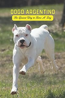 Dogo argentino : le moyen le plus simple d'apprivoiser un chien guide clair pour élever. Faites de bonnes affaires en ligne avec DIAYTAR SENEGAL, votre destination ultime pour des produits discount de qualité. Découvrez notre catalogue diversifié comprenant des articles pour la maison, l'électroménager, l'informatique, la mode et les gadgets. Optez pour des prix réduits sans compromettre sur la qualité grâce à DIAYTAR SENEGAL .