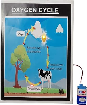 Modèle de travail scientifique sur le cycle de l'oxygène de melody's chemistry illustré avec des feux. Parcourez notre magasin en ligne DIAYTAR SENEGAL  et profitez de nos offres incroyables sur une large gamme de produits. Trouvez tout ce dont vous avez besoin, de l'électroménager à l'informatique, et restez à la mode sans vous ruiner grâce à nos articles à prix réduits.