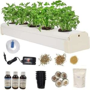 Kit de démarrage hydroponique city greens home 5 pots de plantes pour débutants. DIAYTAR SENEGAL  - La solution idéale pour les chasseurs de bonnes affaires en ligne. Trouvez des produits discount de haute qualité dans toutes les catégories, y compris la mode, l'électronique, l'ameublement et bien plus encore. Économisez sans compromis sur la qualité !