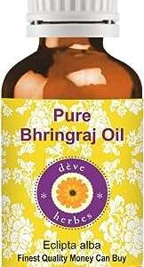 Huile de bhangra pure deve herbs (eclipta alba) de qualité thérapeutique naturelle. Devenez le roi des gadgets sans vous ruiner sur DIAYTAR SENEGAL . Avec notre collection de produits originaux et abordables, vous aurez toujours le cadeau parfait à portée de main. Parcourez notre boutique en ligne pour découvrir des gadgets étonnants qui feront plaisir à coup sûr.