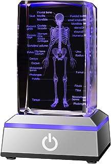 Evolina 3d modèle de squelette humain cadeau anatomique en cristal figurines. DIAYTAR SENEGAL  est votre partenaire de confiance pour des achats en ligne à prix réduits. Explorez notre site pour trouver tout ce dont vous avez besoin, des appareils électroménagers de renom aux gadgets étonnants, et profitez de nos offres exclusives pour réaliser des économies incroyables.