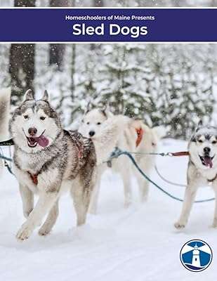 Chiens de traîneau. Bienvenue chez DIAYTAR SENEGAL, le paradis des bonnes affaires en ligne ! Découvrez une large gamme de produits discount pour équiper votre maison, trouver l'électroménager de vos rêves, vous divertir avec des gadgets innovants, et compléter votre garde-robe avec des vêtements à la pointe de la mode, le tout à des prix défiant toute concurrence.