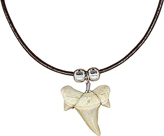 Collier en dents de requin naturelles pour garçons bijoux fossiles authentiques. DIAYTAR SENEGAL, votre boutique en ligne préférée pour dénicher des produits à prix discount. Rendez-vous sur notre site pour trouver toutes les bonnes affaires de la maison à l'électroménager en passant par les gadgets high-tech. Ne sacrifiez pas la qualité pour économiser, optez pour DIAYTAR SENEGAL  !