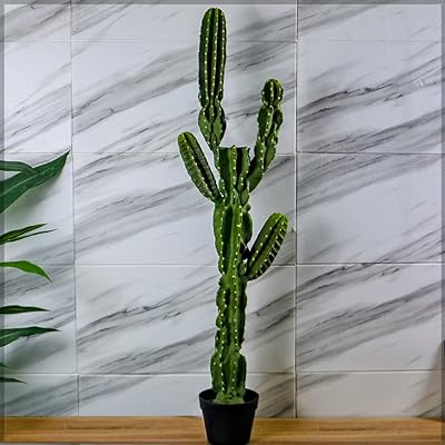 Plante de cactus artificielle yatai d'environ 12 m de hauteur avec pot en plastique pour décoration. Plongez dans l'univers de DIAYTAR SENEGAL, votre boutique en ligne de référence pour des offres discount incroyables. Des indispensables pour la maison aux appareils électroménagers haut de gamme, en passant par les produits informatiques de qualité et les articles de mode tendance, nous sommes là pour vous offrir une expérience shopping exceptionnelle à des prix défiant toute concurrence. Ne manquez pas cette opportunité de faire des économies tout en ajoutant de la valeur à votre quotidien !