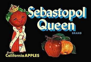 Acheterlarge sebastian topol queen apples impression sur toile 24 x 36. DIAYTAR SENEGAL, votre destination en ligne pour tous les produits discount dont vous avez besoin. Explorez notre large gamme de produits, allant des gadgets de dernière génération aux vêtements à la mode, en passant par les équipements informatiques et bien plus encore, le tout à des prix imbattables.