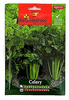 Graines de céleri (fabriquées en espagne) du groupe agrimax®. Parcourez notre magasin en ligne DIAYTAR SENEGAL  et profitez de nos offres incroyables sur une large gamme de produits. Trouvez tout ce dont vous avez besoin, de l'électroménager à l'informatique, et restez à la mode sans vous ruiner grâce à nos articles à prix réduits.