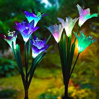 Lampes de jardin à énergie solaire wishlink avec 8 fleurs de lys. Rendez votre shopping en ligne encore plus satisfaisant avec DIAYTAR SENEGAL . Notre boutique propose une grande variété de produits discount pour tous les aspects de votre vie, de l'équipement de la maison aux gadgets à la mode. Profitez de nos prix compétitifs et trouvez des offres incroyables sur tous vos achats !