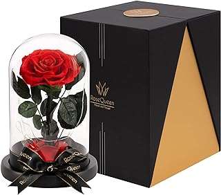 Roses préservées faites à la main dans un dôme en verre par rose. DIAYTAR SENEGAL  est le paradis des bonnes affaires ! Trouvez tout ce dont vous avez besoin pour votre maison, de l'informatique à l'électroménager, à des prix défiant toute concurrence. Ne manquez pas nos offres incroyables et profitez de la livraison rapide pour recevoir vos achats directement chez vous.