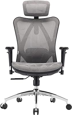 SIHOO chaise de bureau chaise de bureau, ergonomique, soutien lombaire  réglable et accoudoir ~ gris