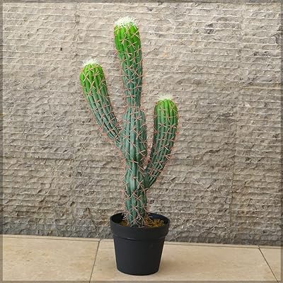 Plante de cactus artificielle yatai de 82 cm de hauteur avec pot en plastique pour décoration. DIAYTAR SENEGAL, votre destination en ligne pour des produits discount de première qualité. Découvrez notre sélection variée et abordable, allant de la maison à l'électroménager, de l'informatique à la mode et aux gadgets, et réalisez des économies substantielles. Peu importe vos besoins, nous avons tout ce qu'il vous faut à des prix compétitifs. Ne manquez pas nos offres spéciales et profitez d'un shopping en ligne facile et économique.