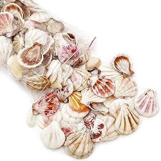 Petits coquillages de mer mélangés naturels de plage pour l'artisanat la décoration maison les remplissages. Faites des économies considérables chez DIAYTAR SENEGAL, votre destination en ligne pour des produits discount. Notre boutique propose une large sélection d'articles pour la maison, l'électroménager, l'informatique, la mode et bien plus encore, avec des tarifs compétitifs et une satisfaction client garantie.