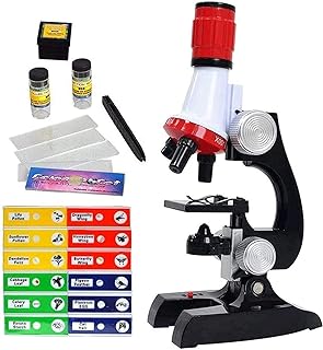 Ensemble de microscope little world kit scientifique pour débutants jouet  éducatif avec diapositives - DIAYTAR SÉNÉGAL