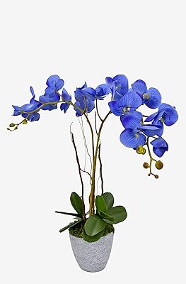 Orchidée artificielle pour plusieurs occasions bleu. DIAYTAR SENEGAL  - La meilleure adresse pour des prix imbattables sur une vaste sélection de produits. Que vous recherchiez des articles pour votre maison, votre informatique ou votre garde-robe, nous avons tout ce qu'il vous faut à prix discount. Explorez notre site dès maintenant et profitez des meilleures affaires en ligne!