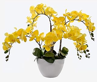 Orchidée artificielle pour plusieurs occasions jaune. DIAYTAR SENEGAL, le choix parfait pour tous les chasseurs de bonnes affaires. Plongez dans notre boutique en ligne et explorez notre large sélection d'articles discount, comprenant tout, des articles pour la maison à l'électroménager, en passant par l'informatique, la mode et les gadgets. Faites des économies substantielles sans sacrifier la qualité et donnez une nouvelle dimension à votre expérience de shopping en ligne.