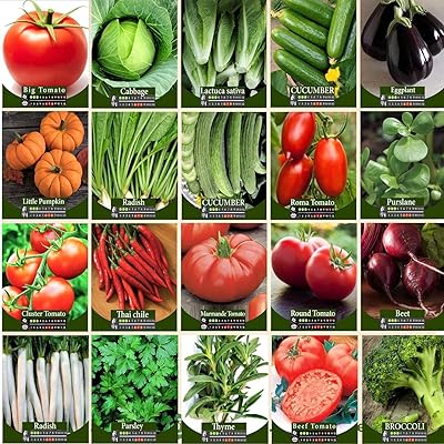 98 % de pureté minimale agrimax 95 pur mélange de légumes et d'herbes. En quête de produits discount de qualité ? DIAYTAR SENEGAL  est là pour vous satisfaire ! Explorez notre boutique en ligne et découvrez notre vaste gamme de produits pour la maison, l'électroménager, l'informatique et la mode. Obtenez des articles de dernière tendance à des prix incroyables et faites des économies substantielles.