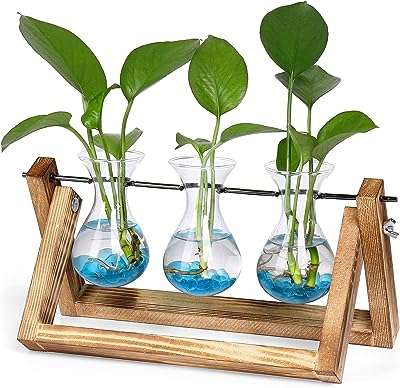 Pot de fleurs avec étagère en bois ampoule à air. DIAYTAR SENEGAL, votre destination shopping discount en ligne. Parcourez notre catalogue étendu et faites votre choix parmi notre vaste gamme de produits pour la maison, l'électroménager, l'informatique et la mode. Profitez de nos prix imbattables et réalisez des économies substantielles dès maintenant.