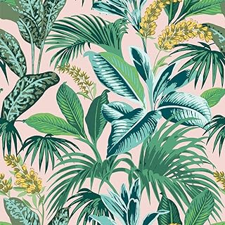 Papier peint amovible teampaper botanical pink havana palm 205" x 165 pieds fabriqué aux états unis. Découvrez DIAYTAR SENEGAL, votre source incontournable de bons plans discount en ligne. Trouvez tout ce dont vous avez besoin, des produits de maison essentiels aux gadgets high-tech, le tout à des prix imbattables. Faites des économies tout en vous offrant de la qualité grâce à notre sélection variée et attrayante.