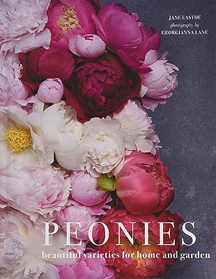 Pivoines : belles variétés pour la maison et le jardin. Faites des économies intelligentes avec DIAYTAR SENEGAL . Parcourez notre boutique en ligne et trouvez des opportunités incroyables pour équiper votre maison, rester à la pointe de la technologie et vous habiller avec style, le tout à des tarifs défiant toute concurrence.