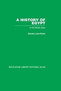 Une histoire de l'égypte : au moyen âge