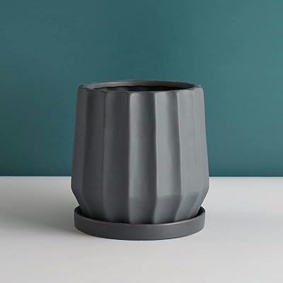 Ensemble de pots de fleurs en céramique au design simple pour la culture