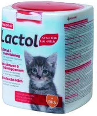 Beaphar lactol complete lait de remplacement pour chatons nouveau-nés - 500 g