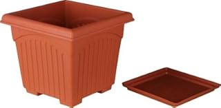 Bol carré en plastique first smart deal 10" avec boîte de 4
