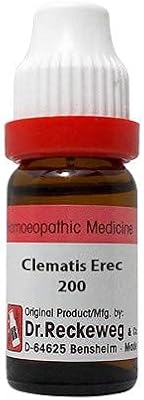 Dr. reckeweg allemagne clematis erec dilution 200 ch (11 ml) huile de parfum