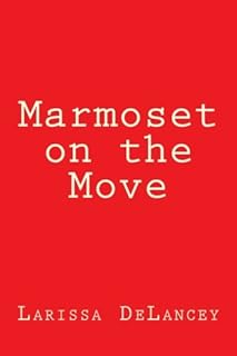 Ouistiti en mouvement. Le meilleur du e-commerce discount réuni sur Diaytar