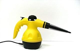 Nettoyeur vapeur portable
