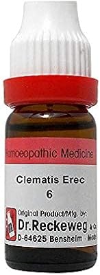 Dr. reckeweg allemagne clematis erec dilution 6 ch (11 ml) huile de parfum