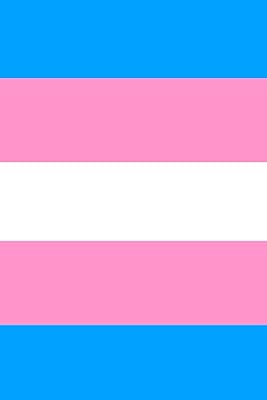 Cahier drapeau trans