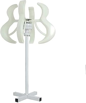 Éolienne à 5 pales avec contrôleur de charge générateur d'énergie éolienne pour maison