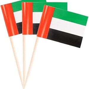 200 pièces de pics à gâteau double face avec le dessin du drapeau des émirats arabes unis pour célébrer la fête nationale. Diaytar Sénégal : Des promotions qui ont du sens