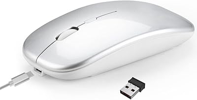 Souris sans fil ultra fine 2,4 g hxsj au design silencieux, portable et élégant, souris rechargeable 10 m/33 pieds (argent). Redéfinissez vos attentes shopping avec Diaytar