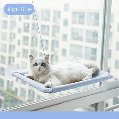 Lit de fenêtre ensoleillé pour chat avec ventouses robustes pour dormir en intérieur