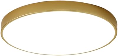 Plafonnier ultra fin moderne 5x40cm lumière led or 3 températures en une (3000k-4000k-6500k)