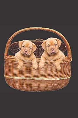Journal de chiots mignons