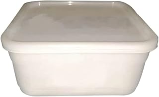 Boîte à glace en celloplast 2 litres 1 l idéal pour les restes